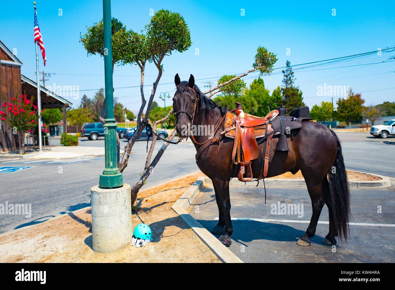 In San Juan Bautista, California a visitor has tied their saddled horse