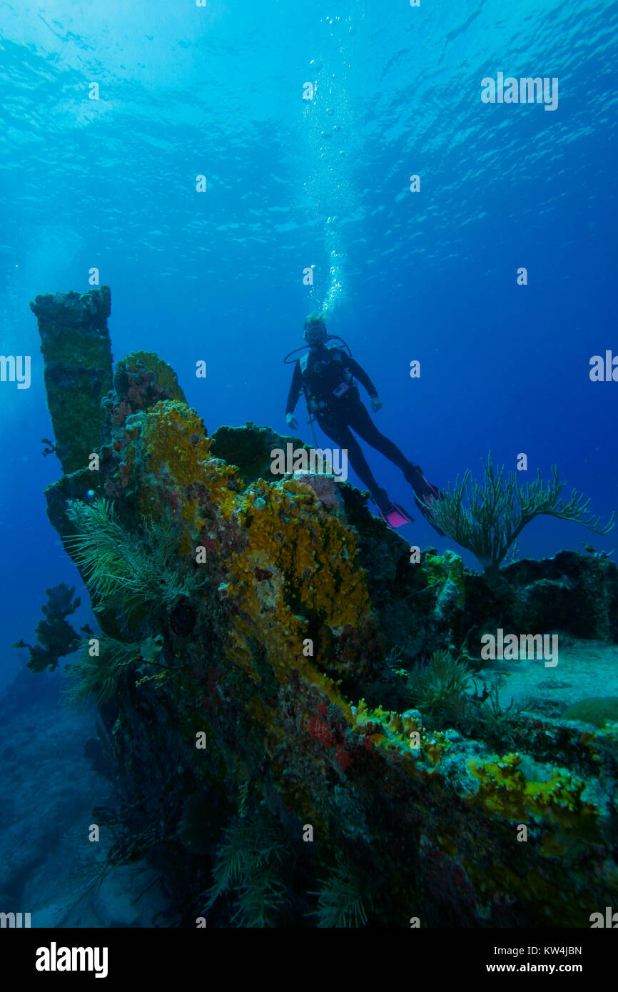 Diver exploring the Wreck of the Benwood, Key Largo, Florida Keys Stock Photo