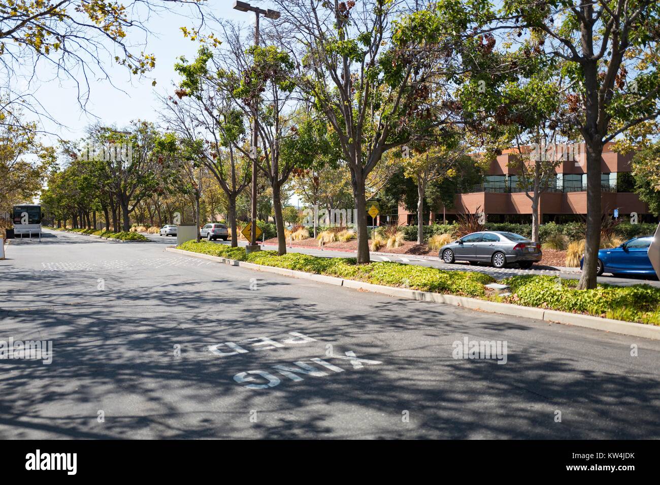 Cars parked along a tree-lined street at the headquarters of professional social networking company LinkedIn, in the Silicon Valley town of Mountain View, California, August 24, 2016. Stock Photo