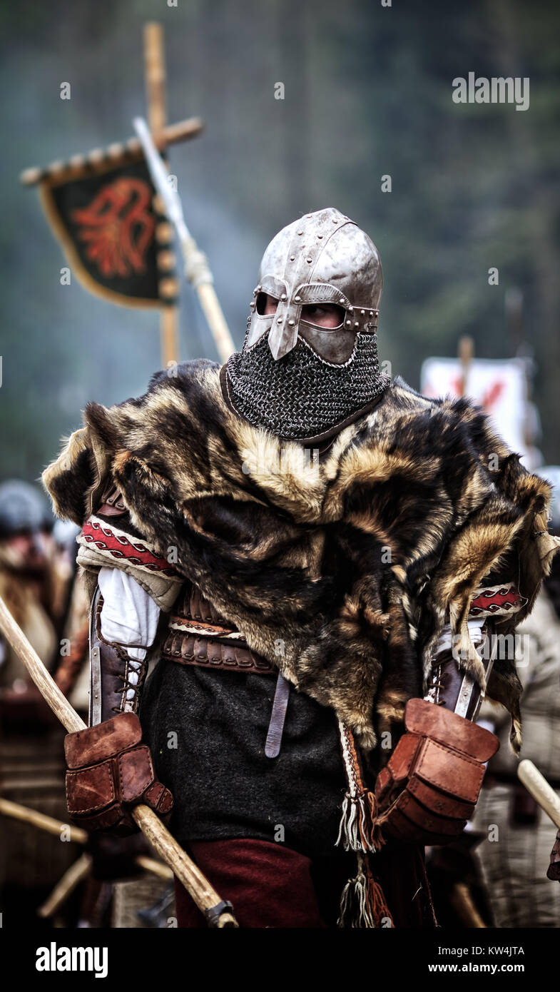 Brand New Medieval Warriors Battle Beauty Tween Costume