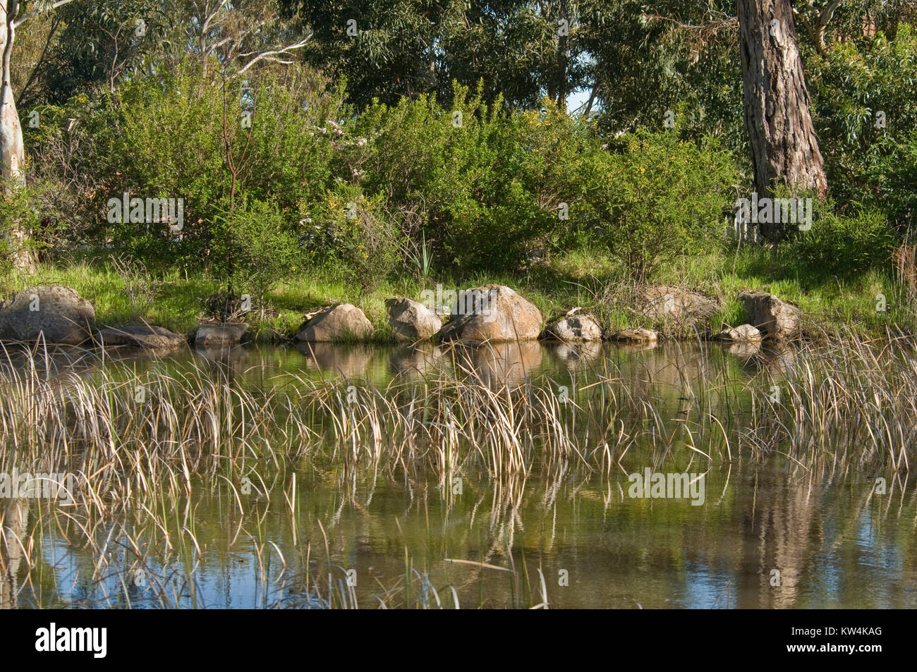 Australian Billabong High Resolution Stock Photography and Images Alamy