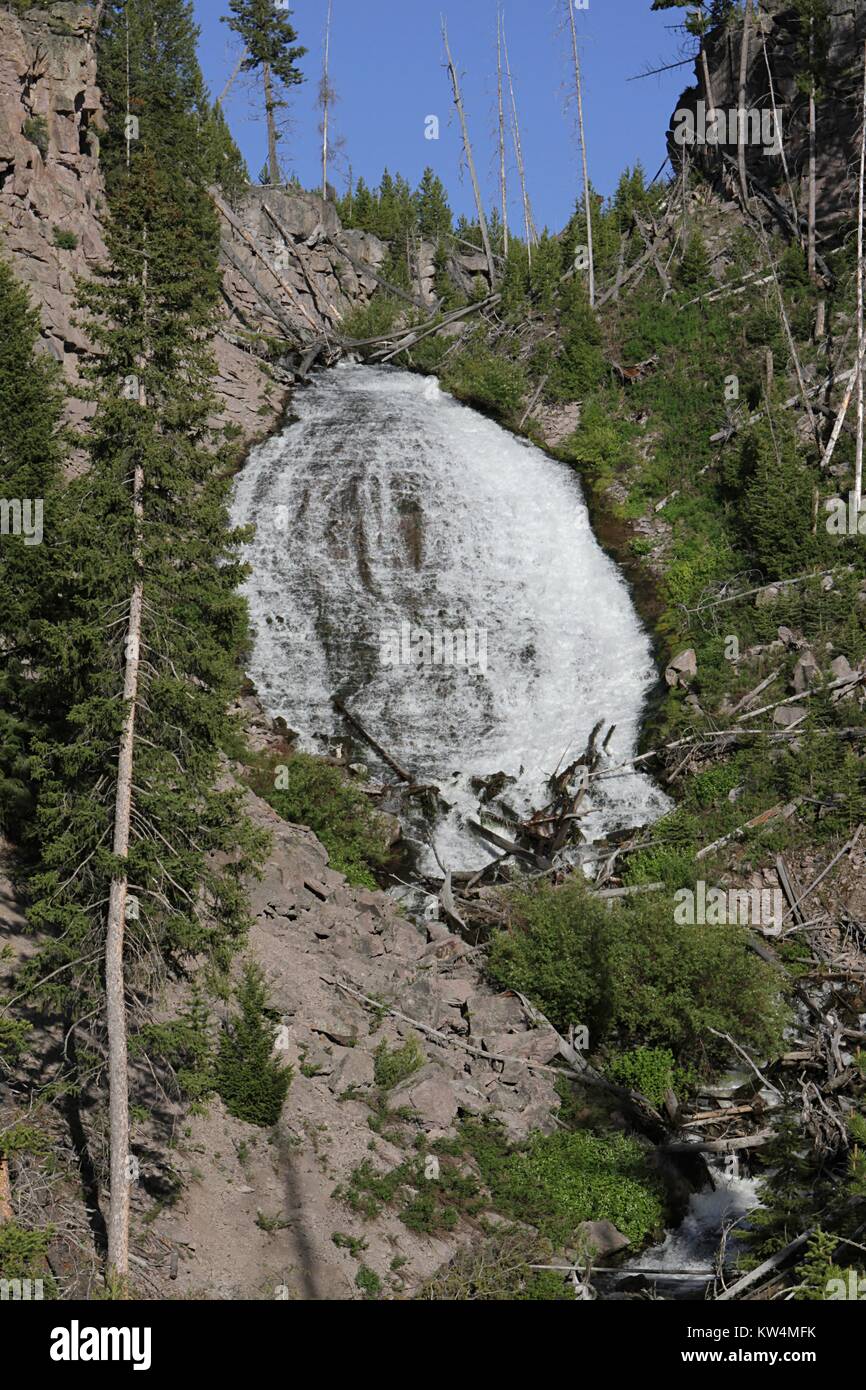 Wraith Falls flowing on Lupine Creek, Yellowstone National Park ...