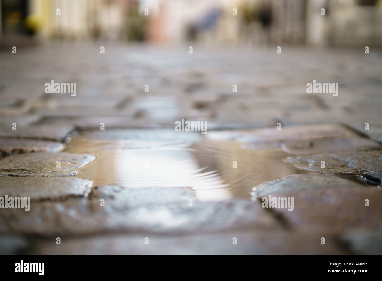 puddle on old stone pavement background, high detailed Stock Photo - Alamy
