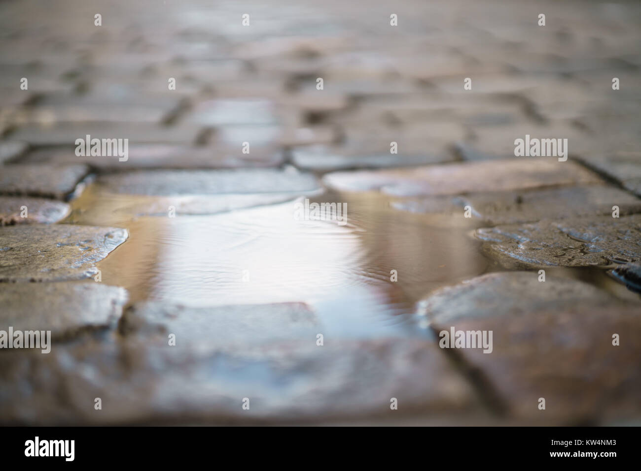 puddle on old stone pavement background, high detailed Stock Photo - Alamy