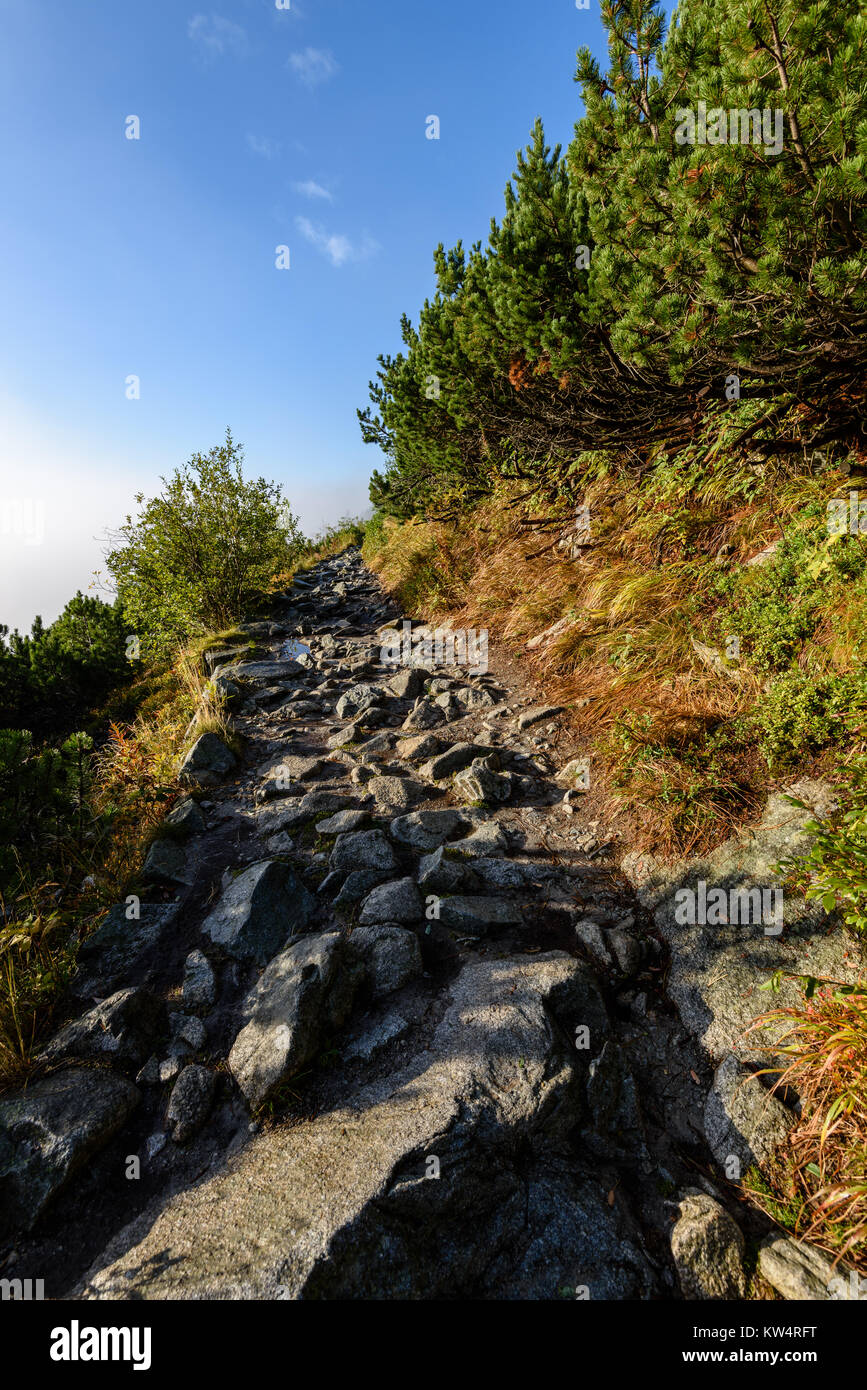 Slovakia Raj scenic and beautiful tourism trail in the park Slovensky raj, Slovakia ...