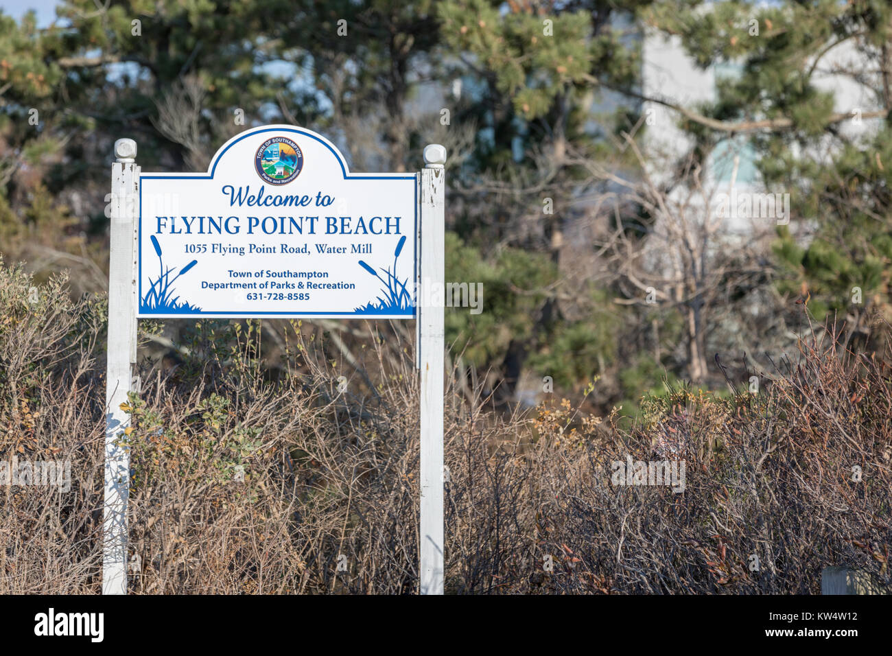Flying Point Beach High Resolution Stock Photography and Images Alamy