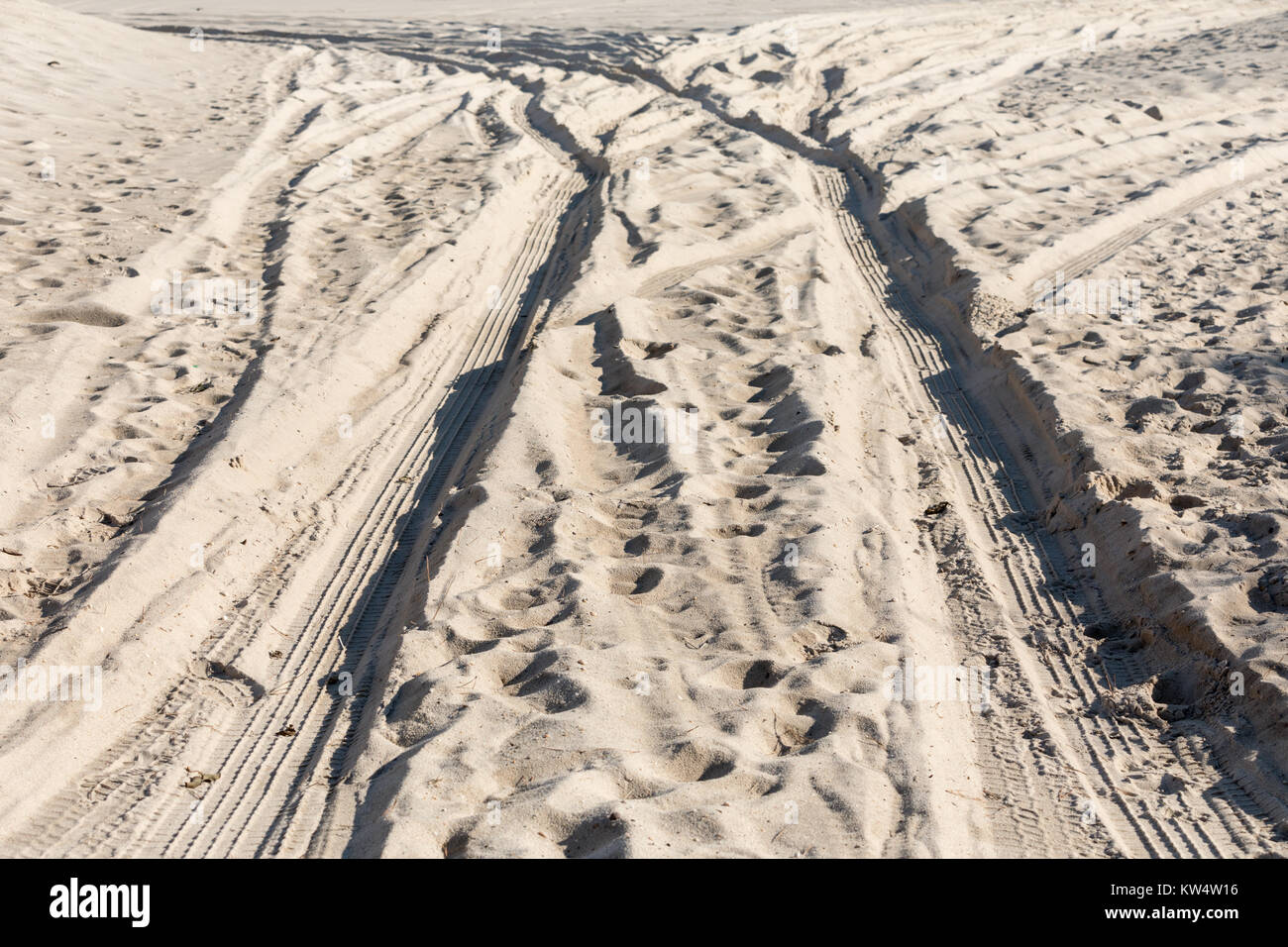 tire tracks in the sand at a long island ocean beach Stock Photo