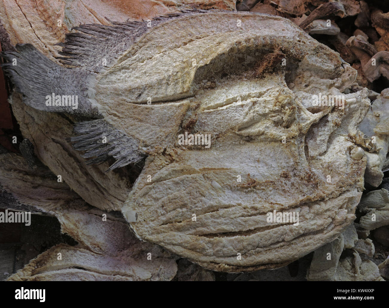 Dried fish displayed on a local market Stock Photo