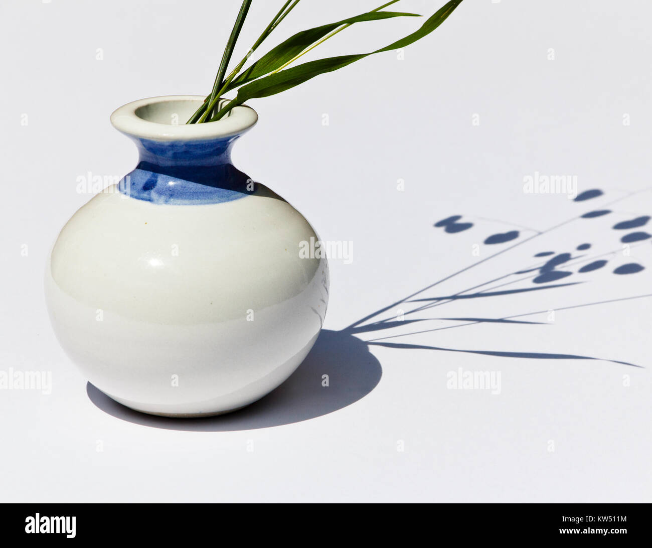 Grasses in a round, white, ceramic vase on a white background with shadow shapes Stock Photo