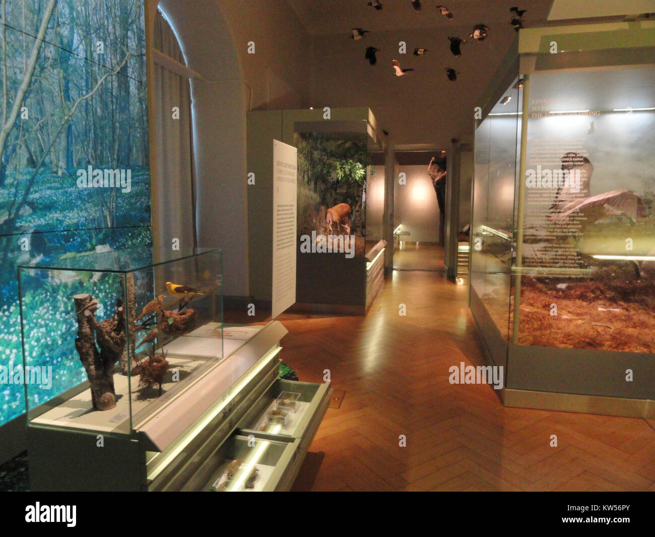 Finnish museum of natural history hi-res stock photography and images ...