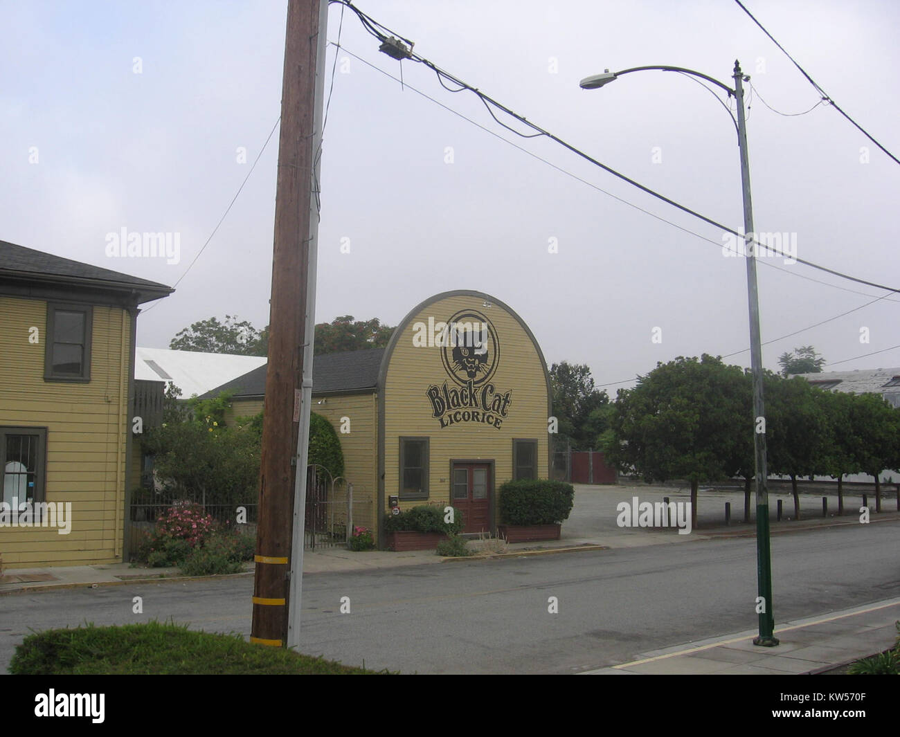 Black Cat Licorice 0956 Stock Photo Alamy