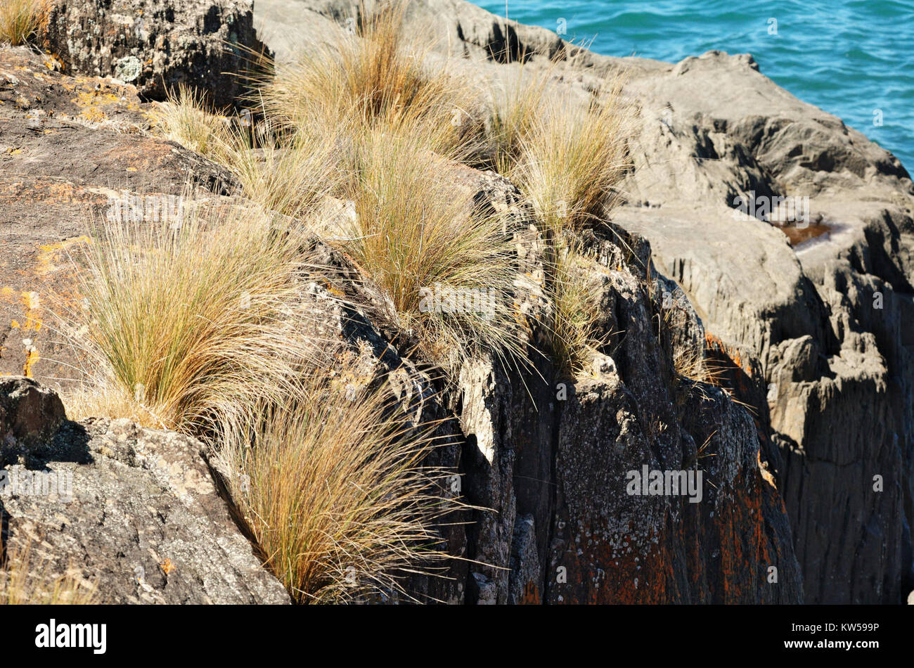 Bluff Rocks in Devonport, Tasmania, represent a natural landmark with ...