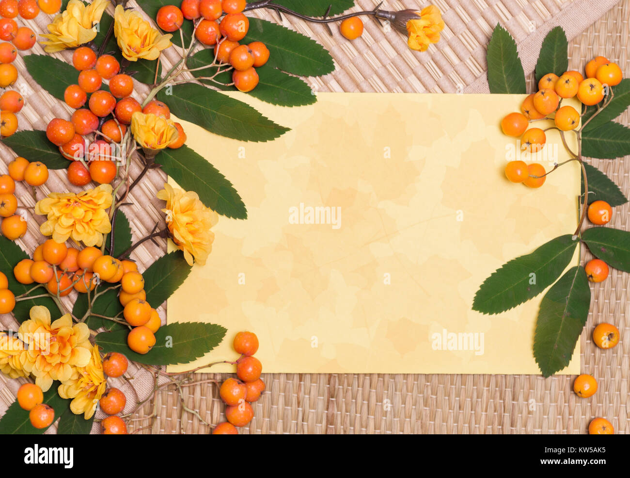 Natural background decorated with Autumn rowan tree berries and leaves ...