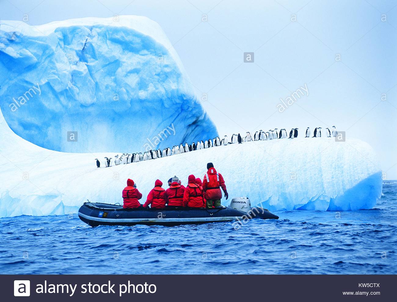 Tourists observe a colony of penguins while exploring Antarctica. Stock Photo