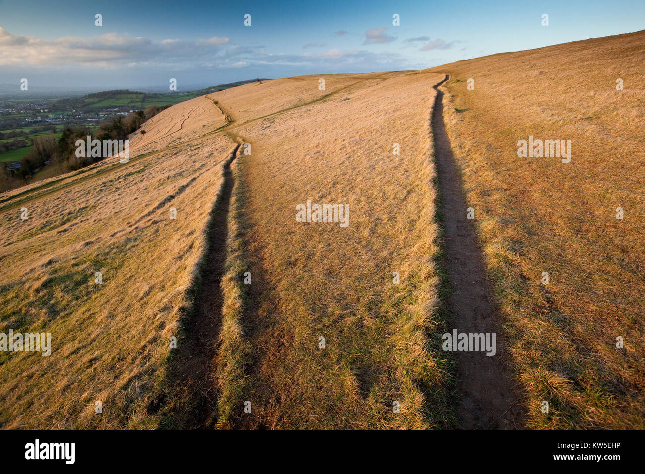Diverging paths on the Cotswold escarpment at Selsley Common SSSI Nature Reserve, Gloucestershire, UK Stock Photo