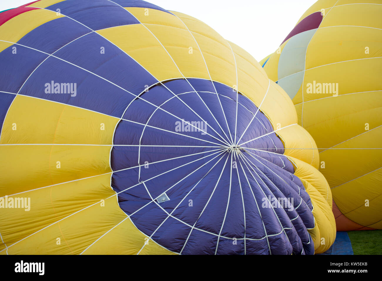 Colorful Hot Air Balloons Taking of at Festival Stock Photo - Alamy