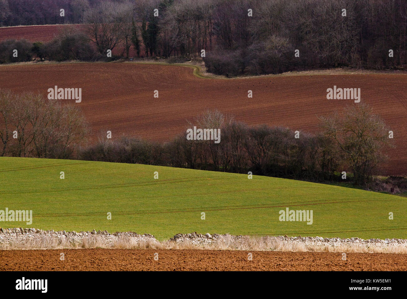 Agricultural land late spring, Cutsdean, Gloucestershire, UK Stock Photo