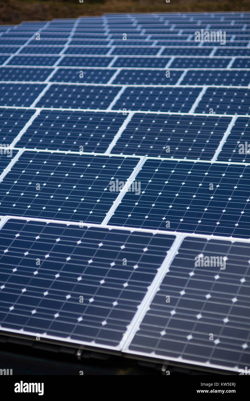 Photovoltaic panel array on a solar farm, UK. Stock Photo