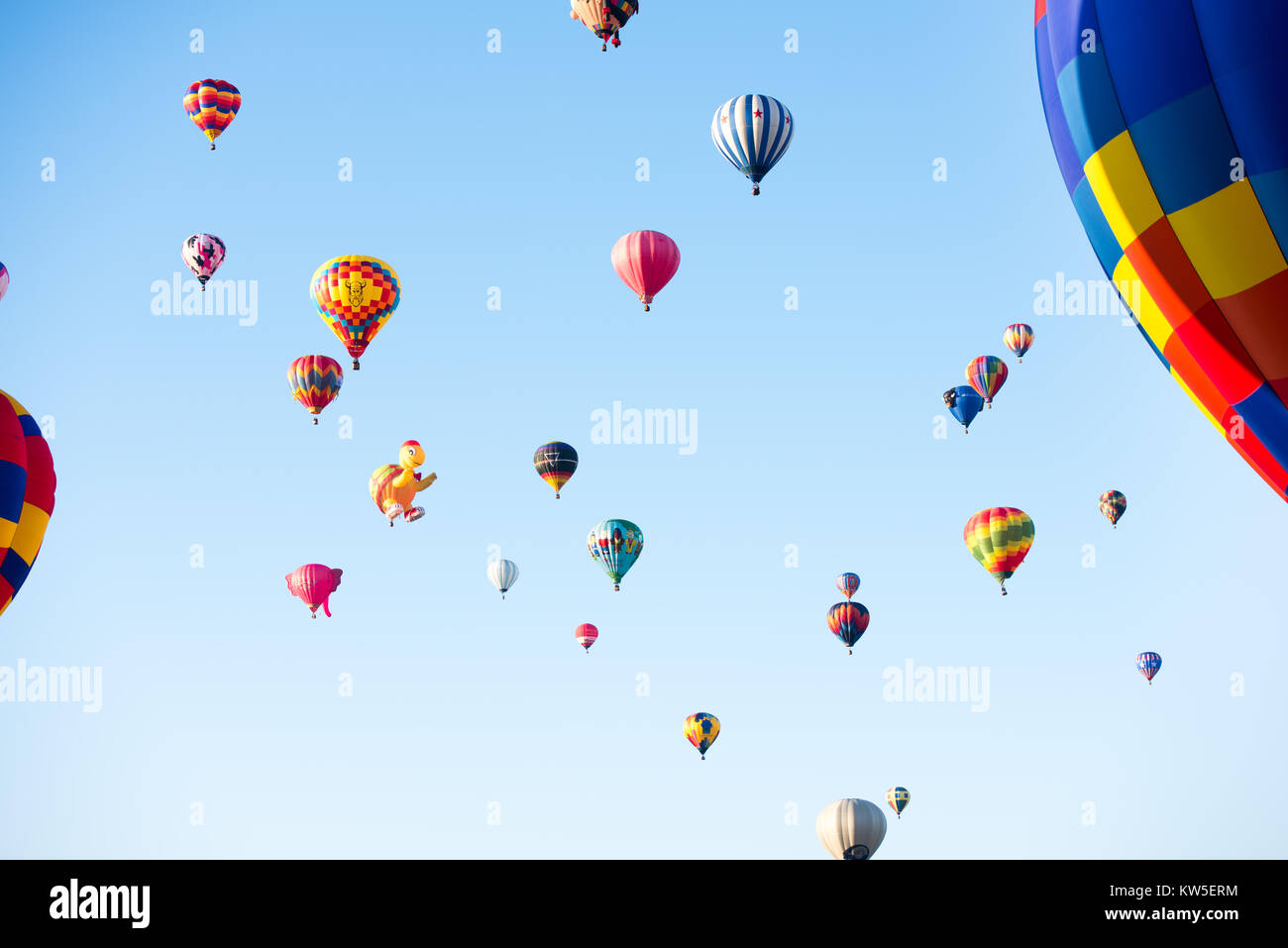 Colorful Hot Air Balloons Taking of at Festival Stock Photo
