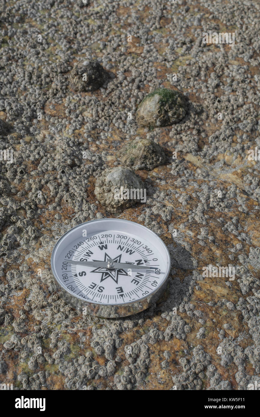 Compass north south. Metaphor business 'direction', navigation, moral