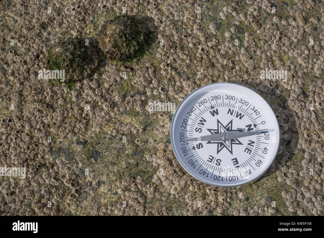 Compass north south metaphor for business 'direction', navigation