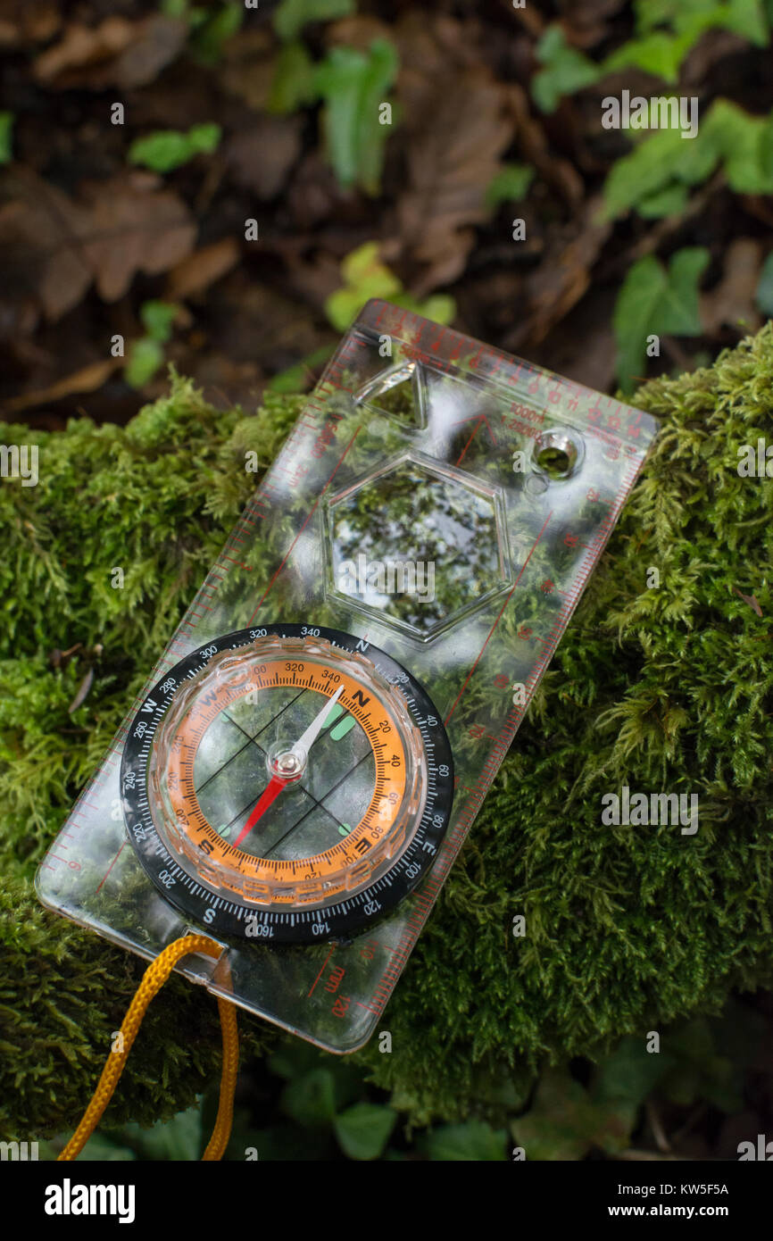 Mossy log compass hires stock photography and images Alamy