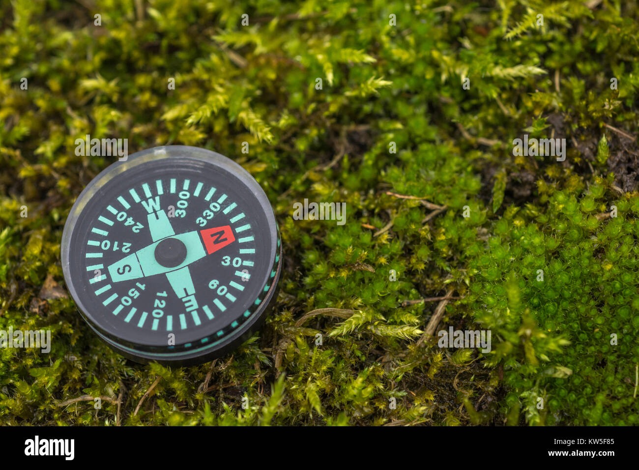 Button compass metaphor business direction navigation moral compass
