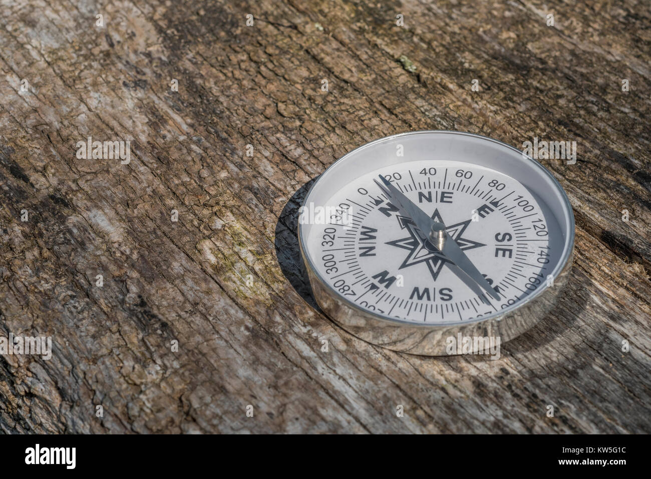 Compass north south Metaphor business 'direction', navigation, moral