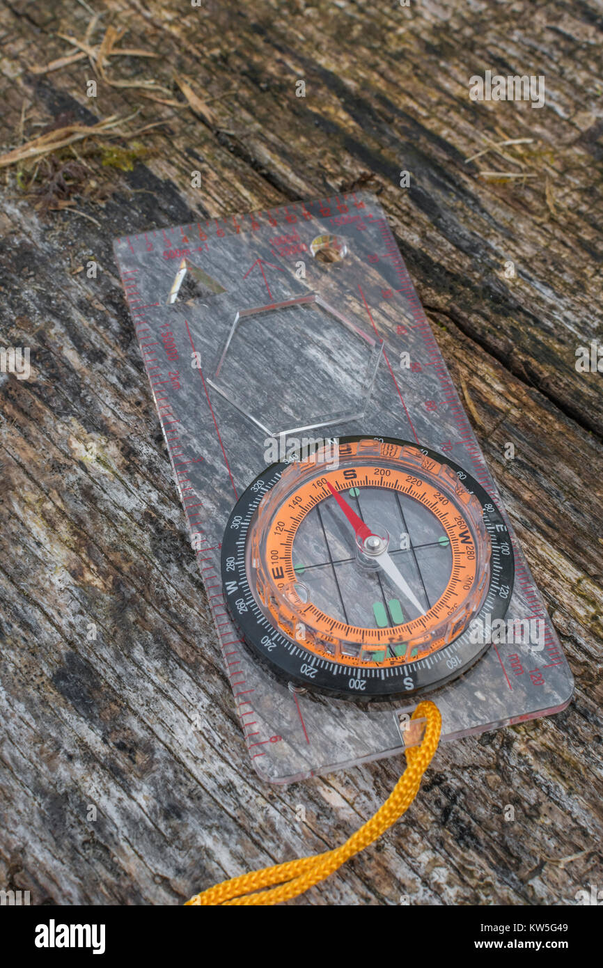 Orienteering compass east. Metaphor business 'direction', navigation