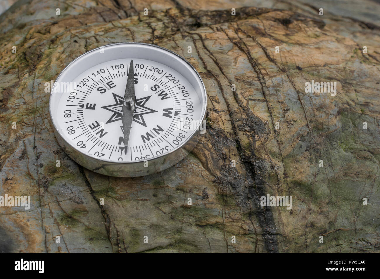 Compass north south metaphor for business 'direction', navigation