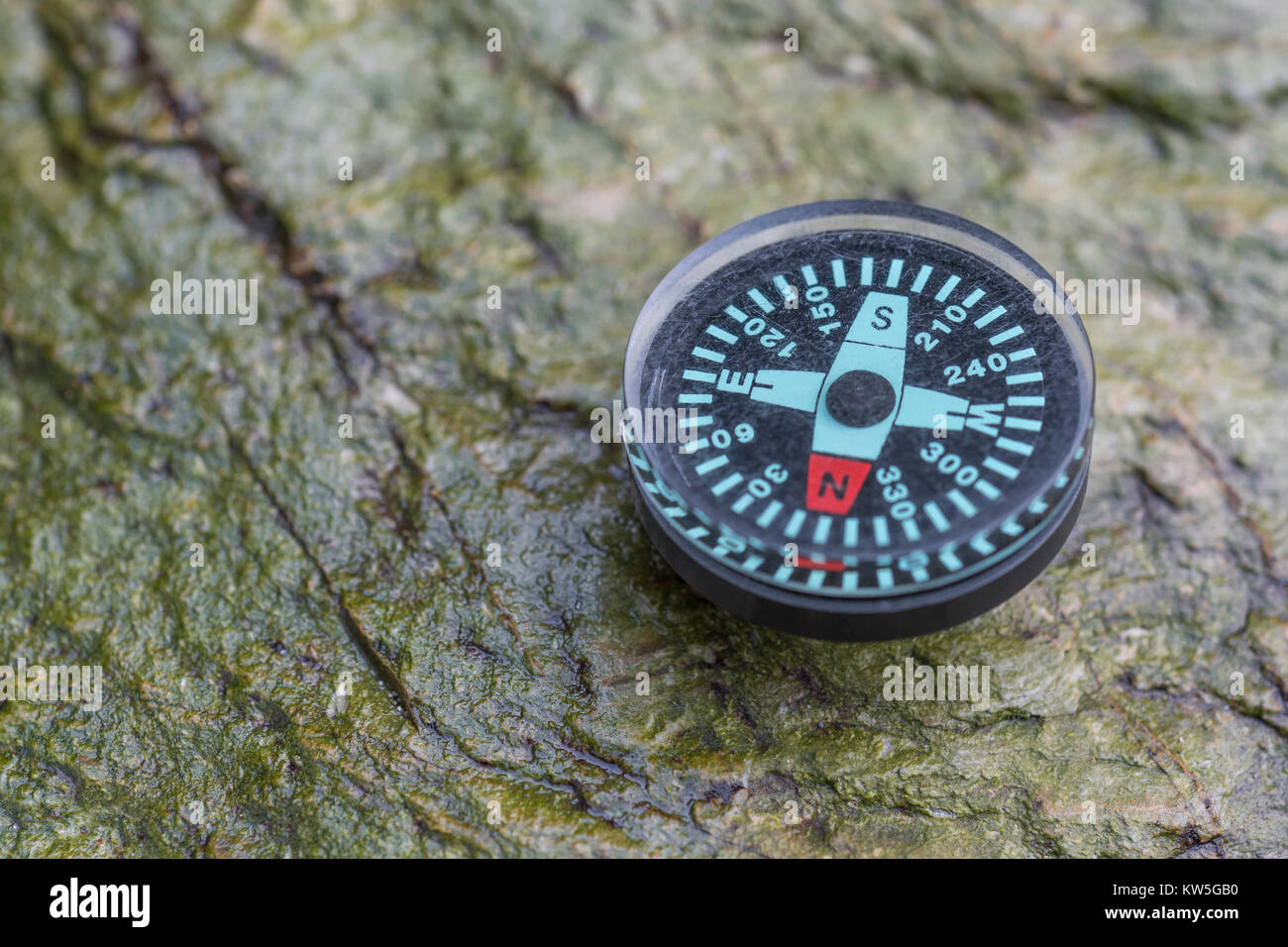 Button compass metaphor business 'direction', navigation, moral