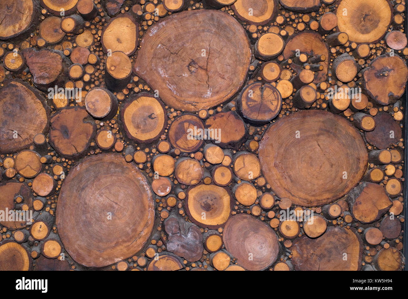 Tableau of cut logs in ceramic Stock Photo