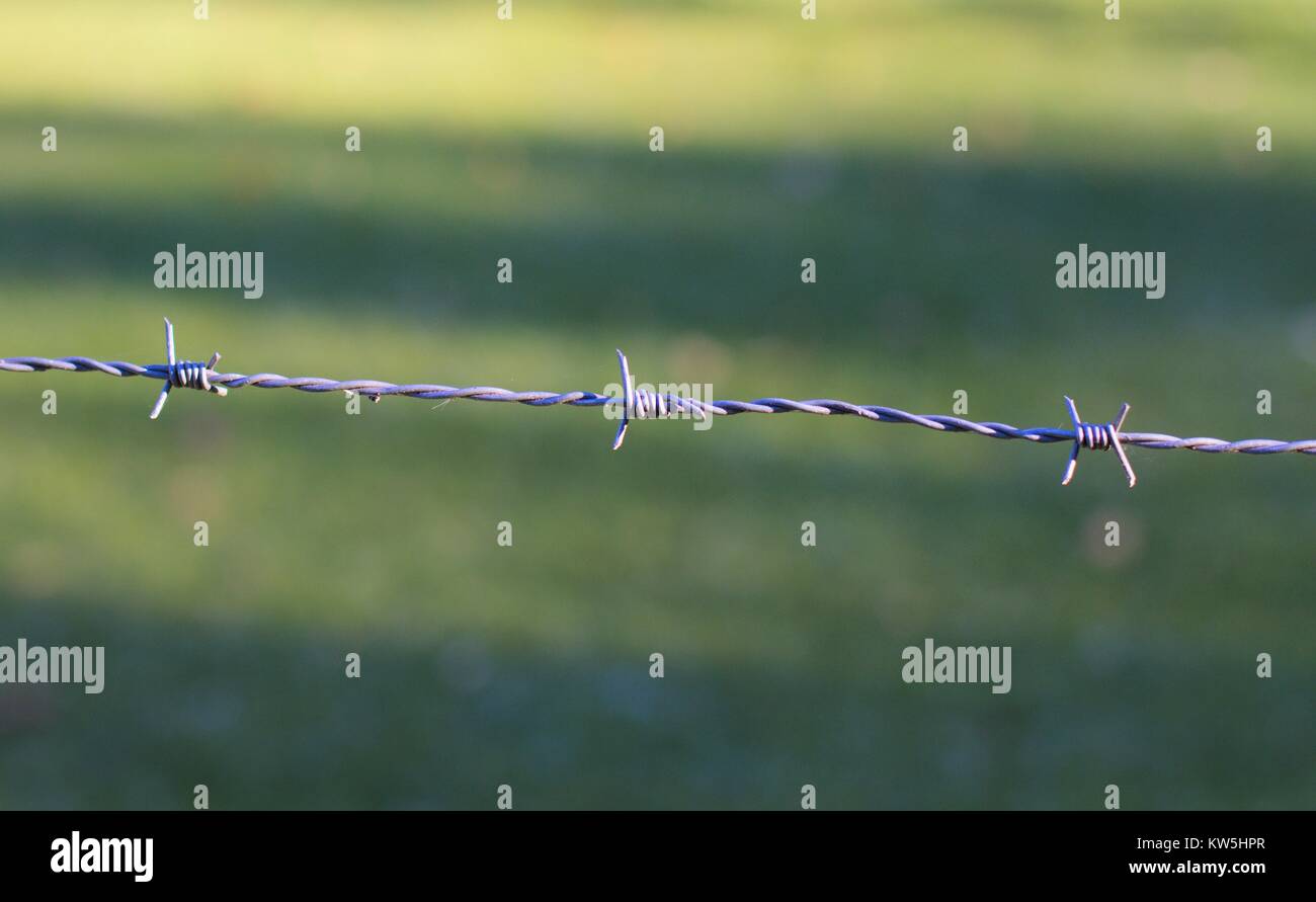 Close up of a strand of barbed wire, against a nature background. Stock Photo