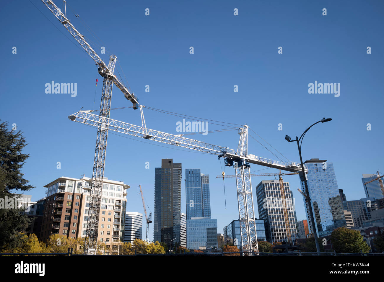 Cranes on building site in Cascade, Seattle Washington, USA Stock Photo