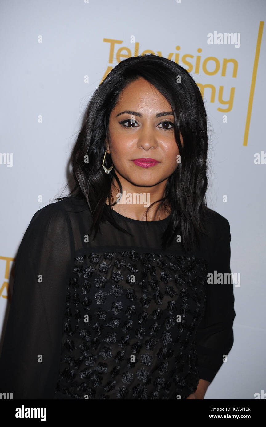 NEW YORK, NY - APRIL 02: Parminder Nagra attends an evening with 'The