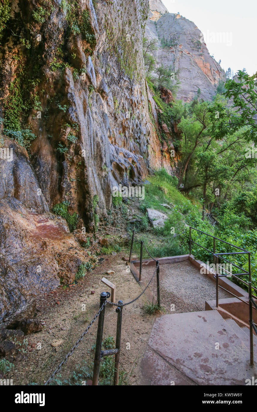 Weeping Wall in Zion National Park Stock Photo Alamy