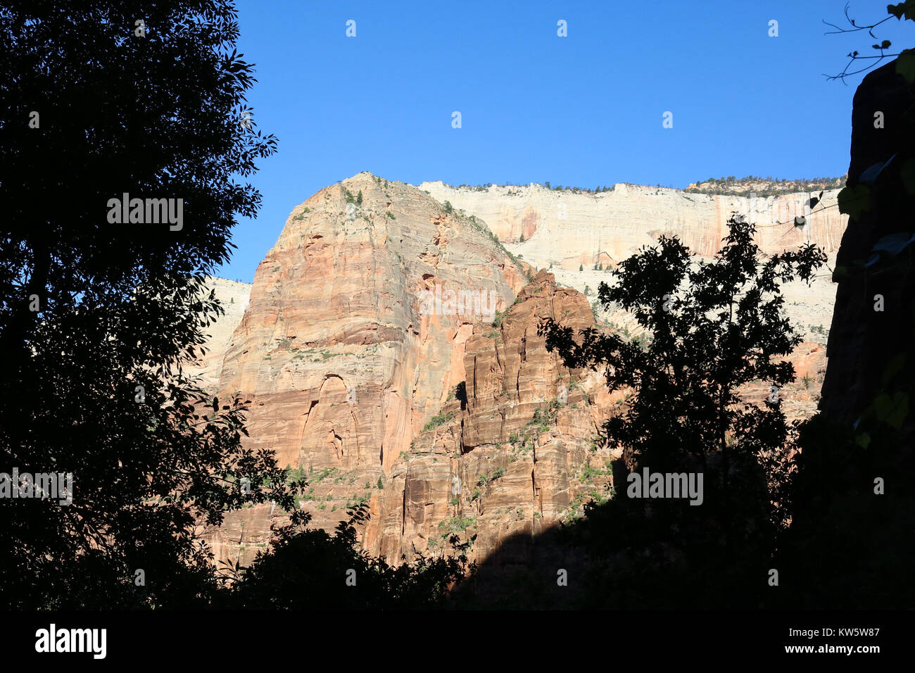 The Great White Throne seen along the Weeping Wall Hike in Zion