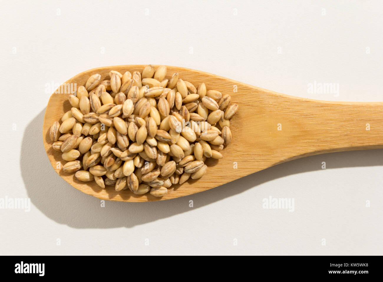 Hordeum vulgare is scientific name of Barley cereal grain. Also known