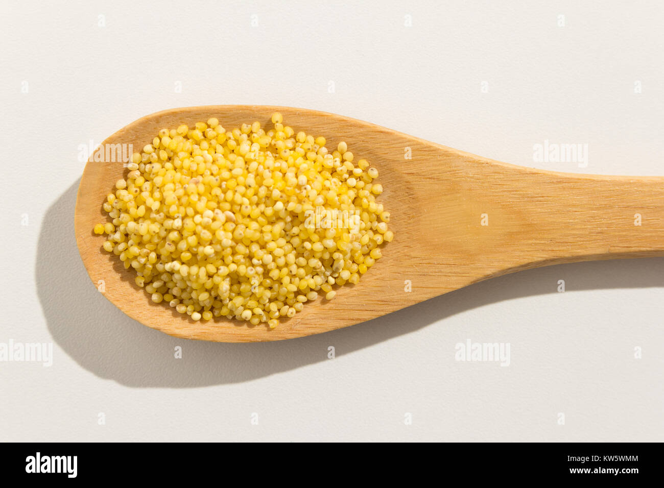Panicum miliaceum is scientific name of Proso Millet cereal grain. Also
