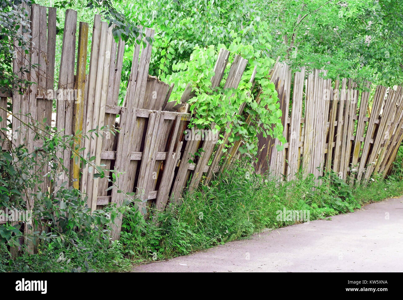 An old worn wooden fence falling over and in need of repair Stock Photo