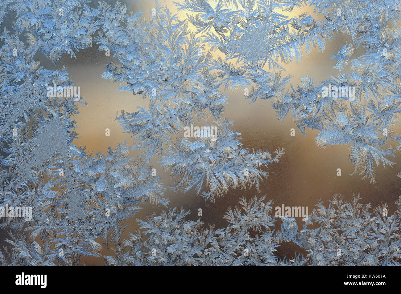 Crystals of ice on the misted glass of the winter window Stock Photo ...