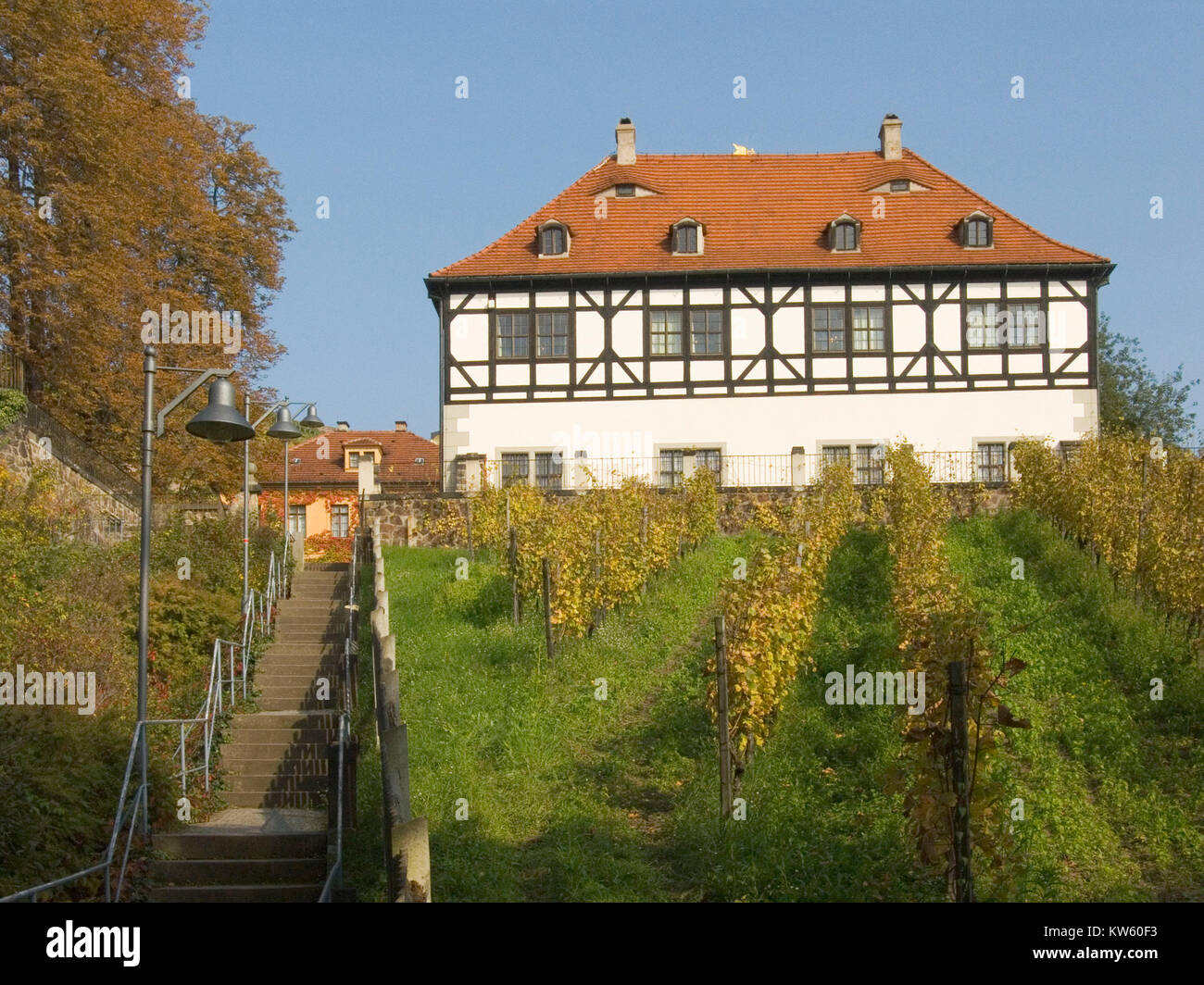 Vineyard museum, Hofloessnitz, Weingutmuseum Stock Photo