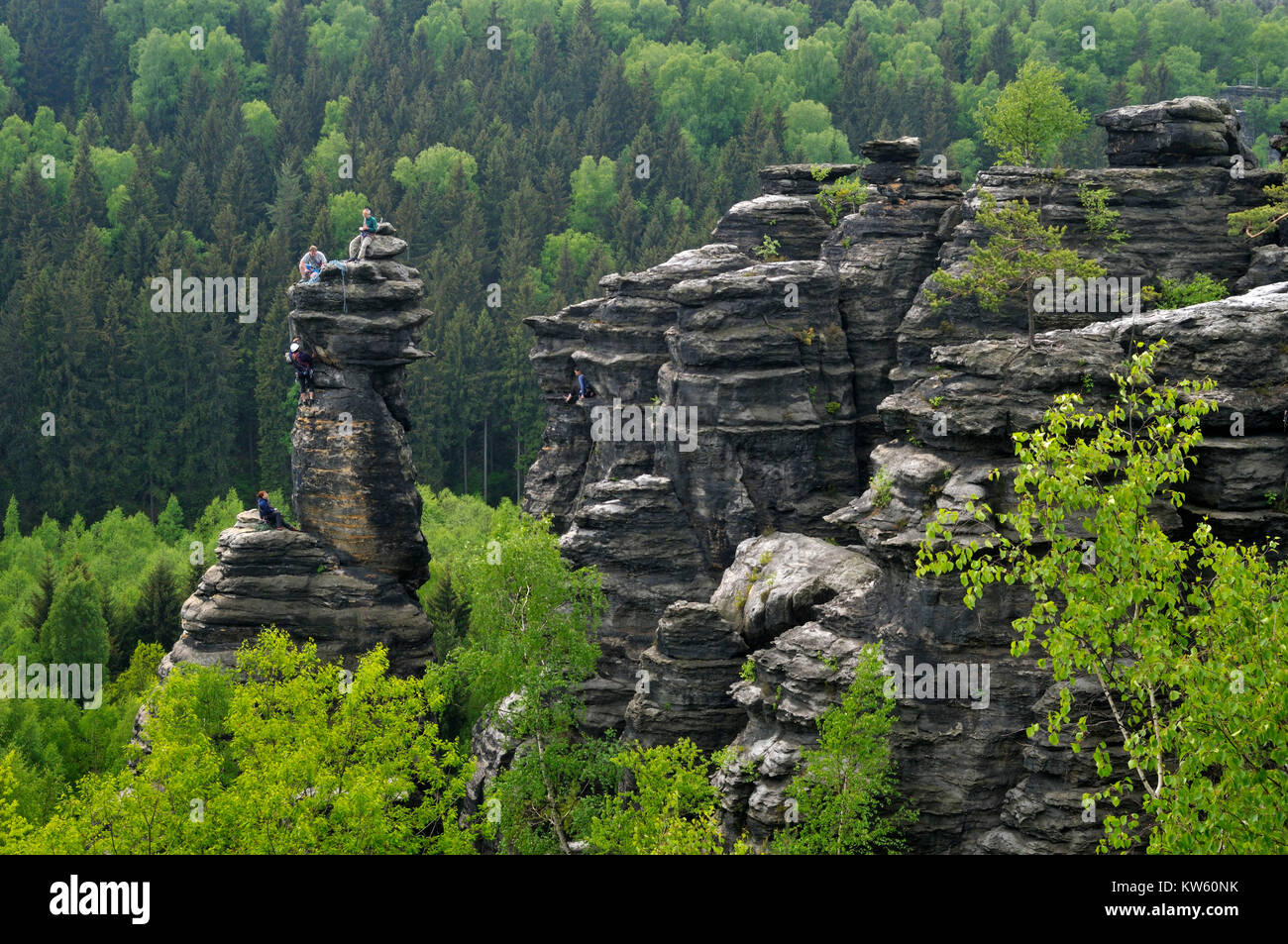 Rock climbing in the Elbsandstein, Felsklettern im Elbsandstein Stock Photo