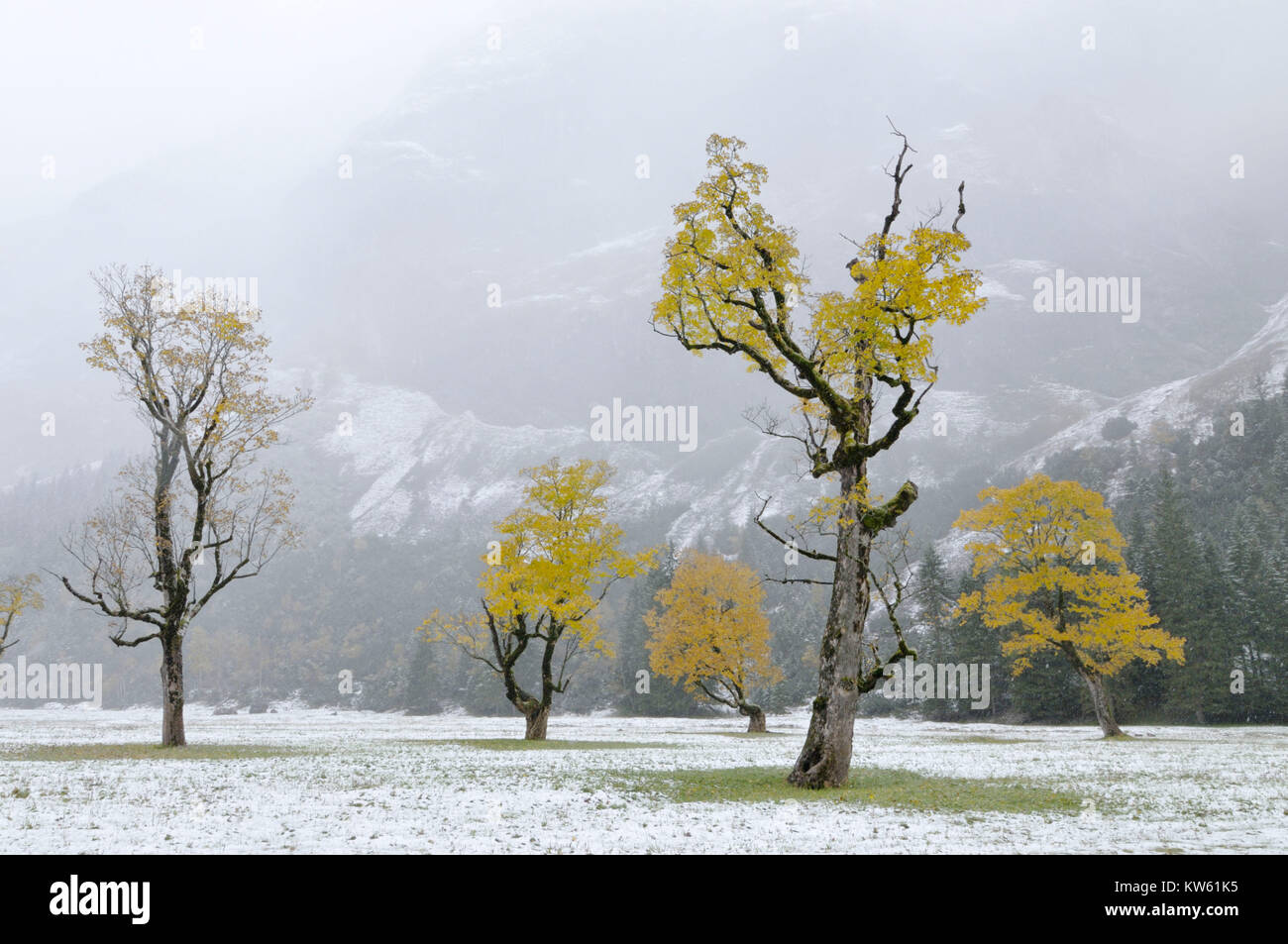 Cirque spiral big maple ground, Karwendel Grosser Ahornboden Stock Photo