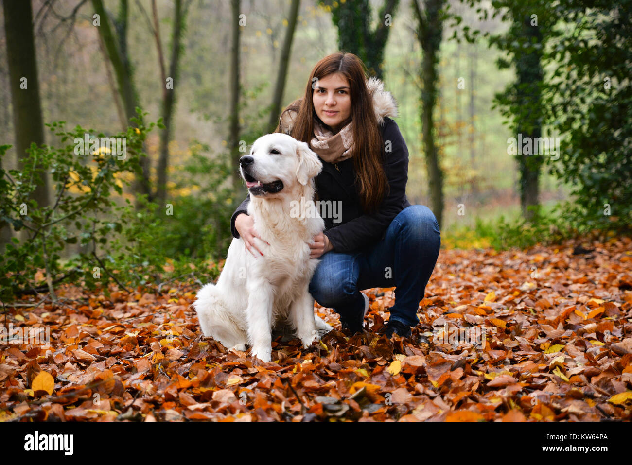 Golden Retriever dog and owner taking a photo outdoors in fall Stock Photo