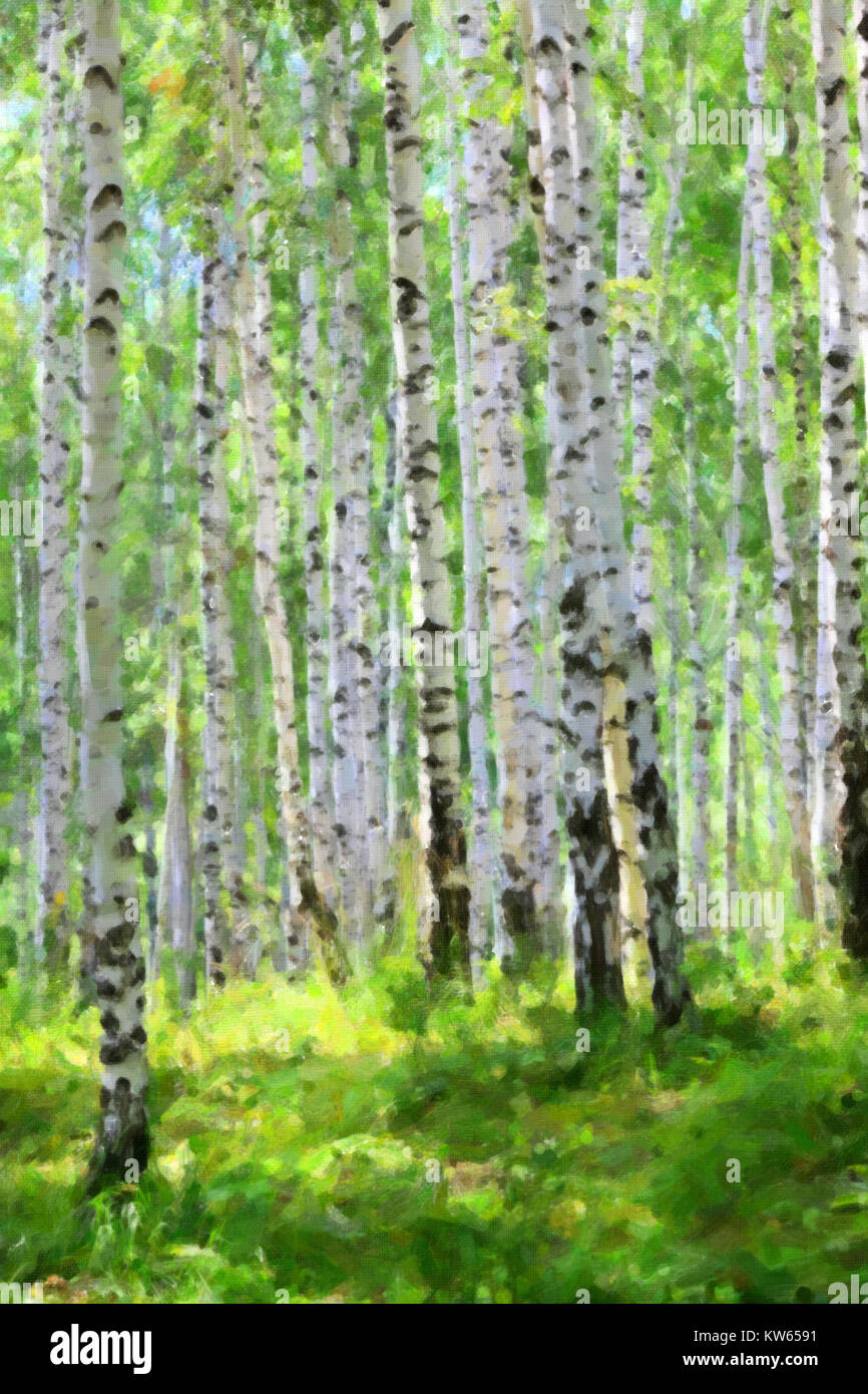 summer green birch forest Stock Photo - Alamy