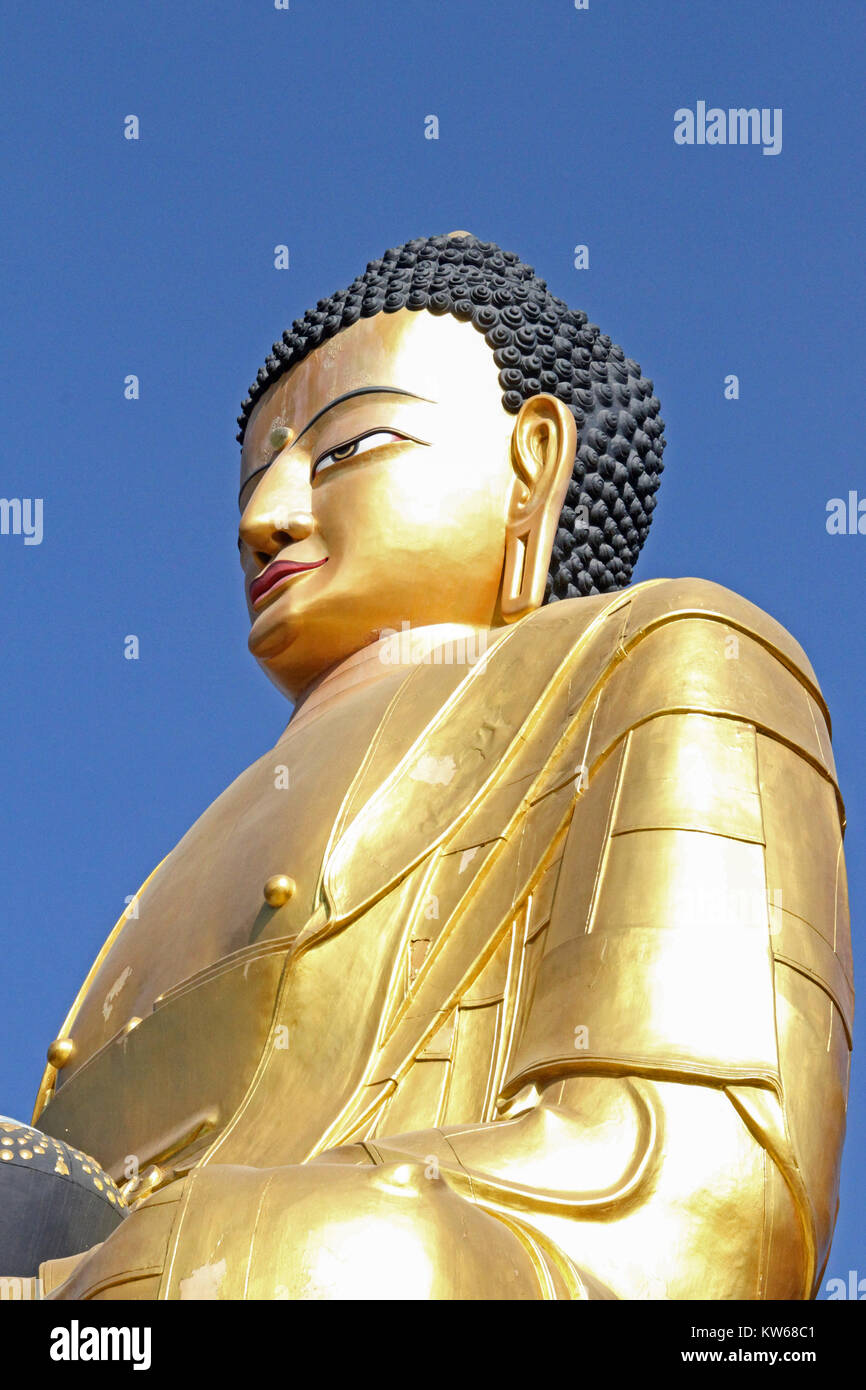 Large golden Buddha statue, Kathmandu, Nepal Stock Photo Alamy