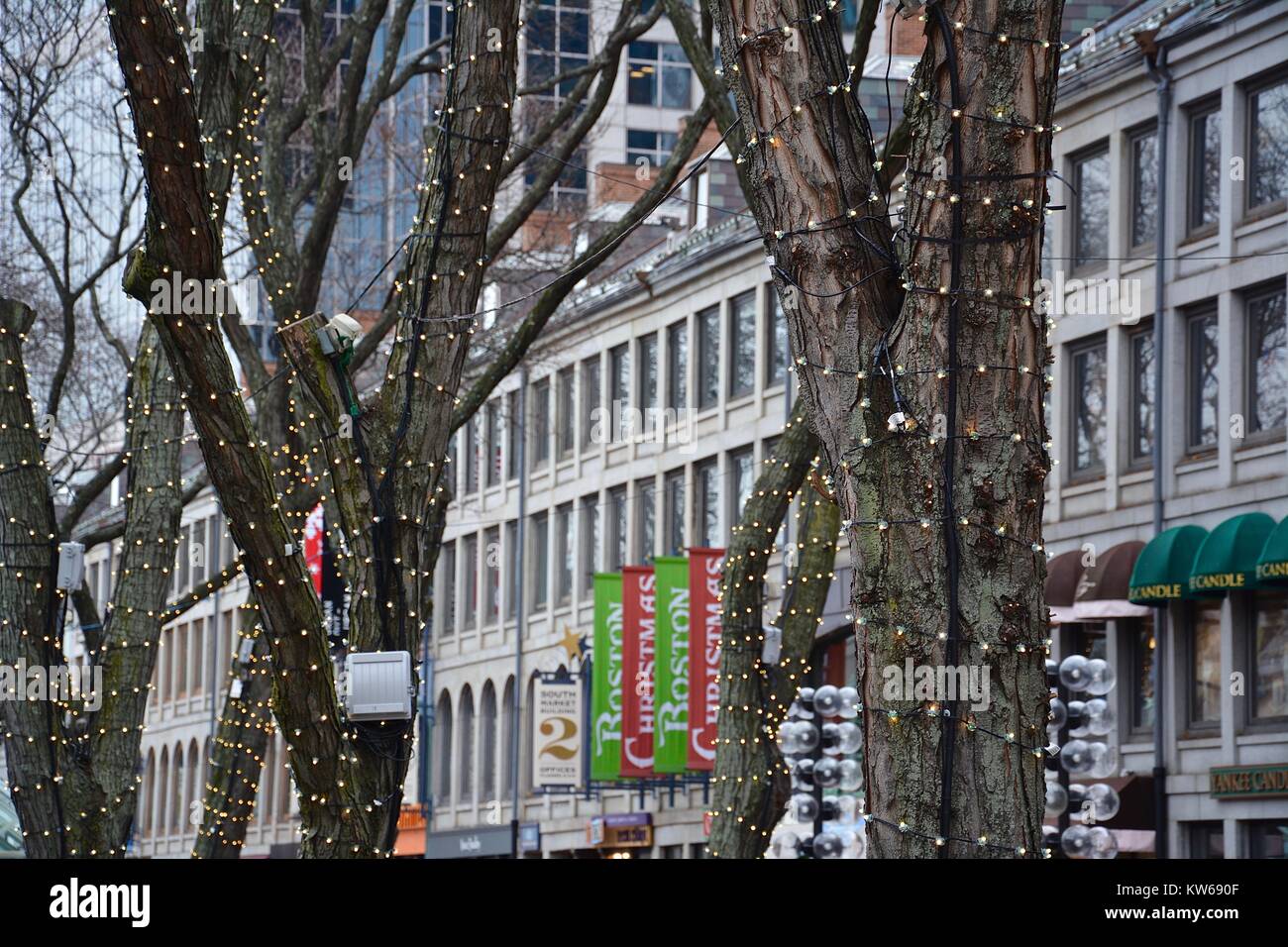 Halifax tree for boston hires stock photography and images Alamy