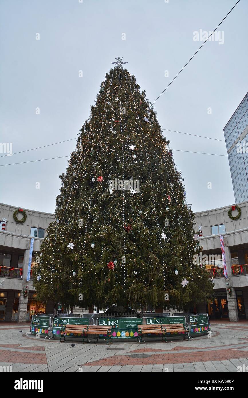 Halifax tree for boston hires stock photography and images Alamy