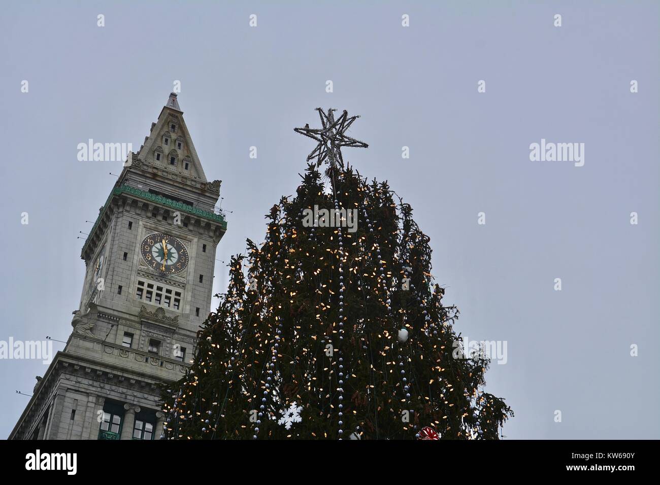 Halifax tree for boston hires stock photography and images Alamy